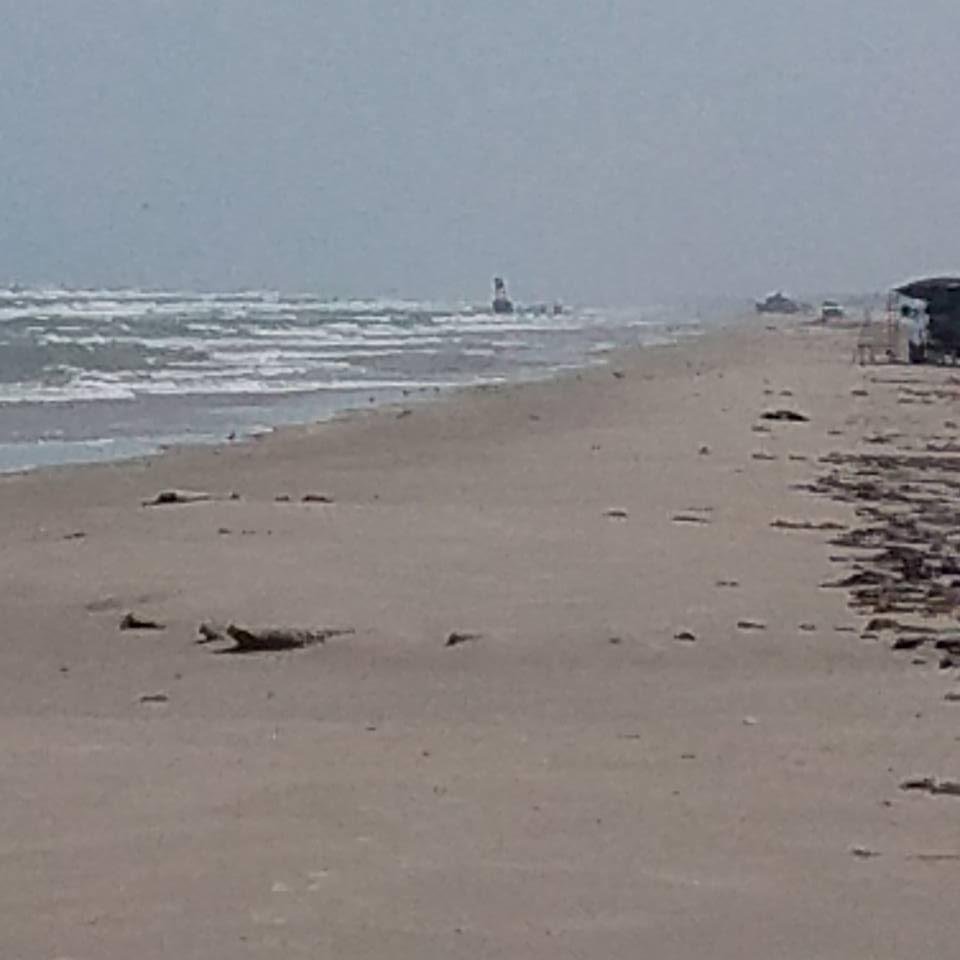This is from the same spot but zoomed in x8