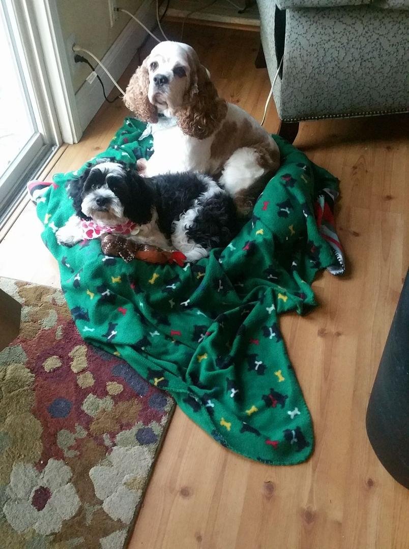 Excited about finally seeing some sun. The boys patiently wait for breakfast.