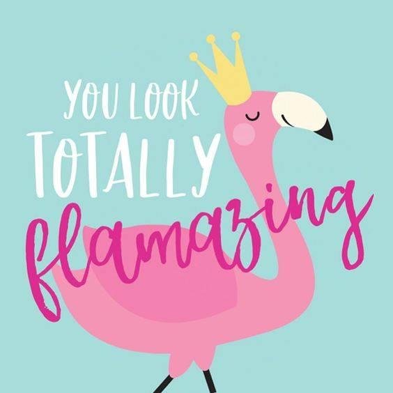 Happy Mothers Day to my wonderful sisters: pam chamlee, trudy buckner, stacy sparks, leslie Leslie Mckinney.  Enjoy you day.  Love you all so much!
