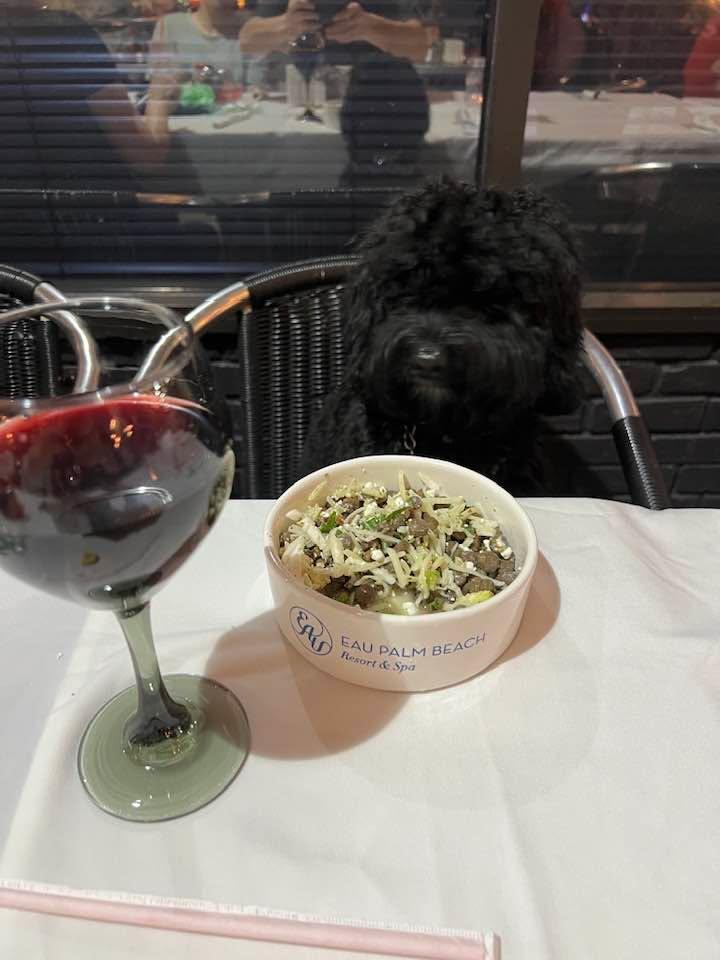 Does red wine pair with dog food?