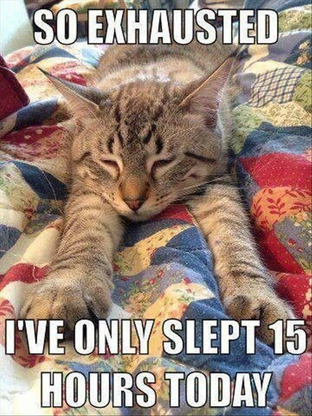 Ruth Carter-Matthews' album, Timeline Photos