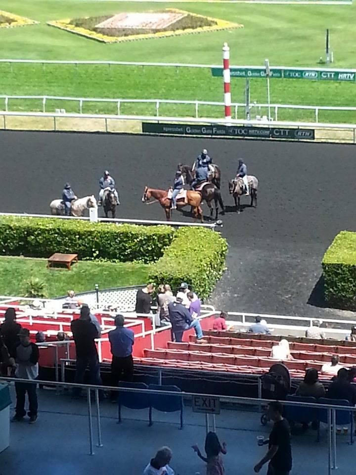 At
At Golden Gate Fields with Shipmates Singles