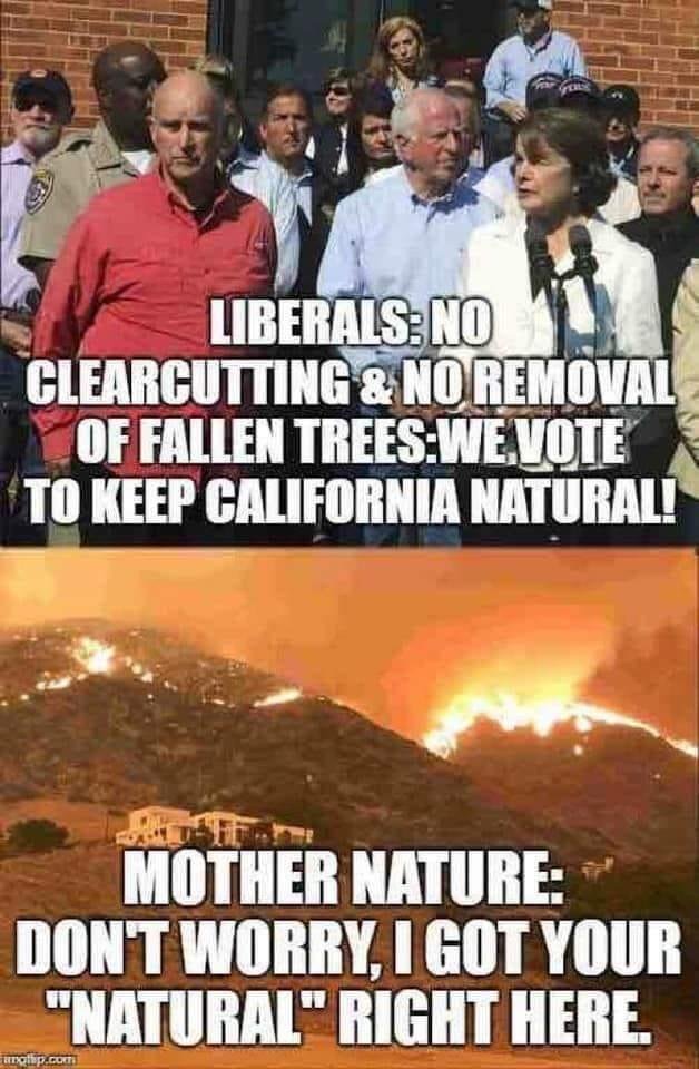 Everyone needs to see who is truly responsible
