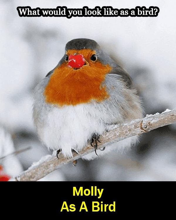 Molly Tekel's album, Timeline Photos