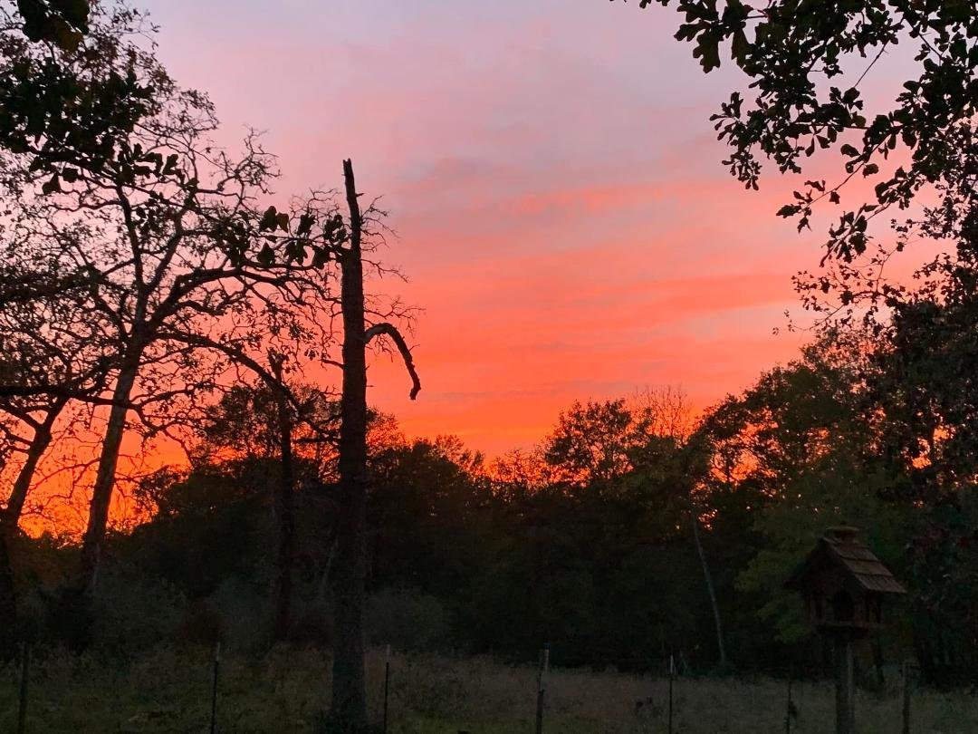 Our sunset tonight.