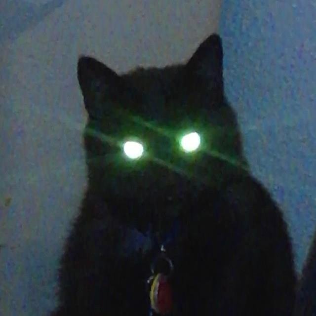 I'm ready for Halloween