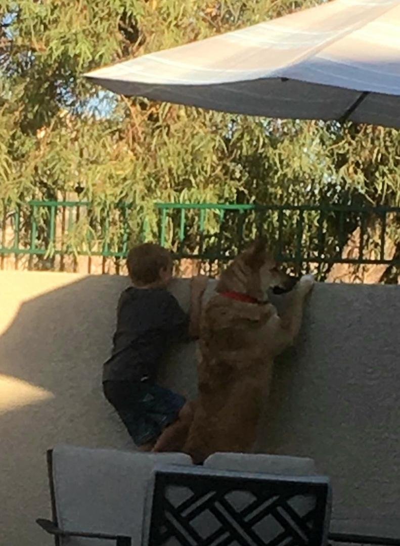 Happy National Dog Day