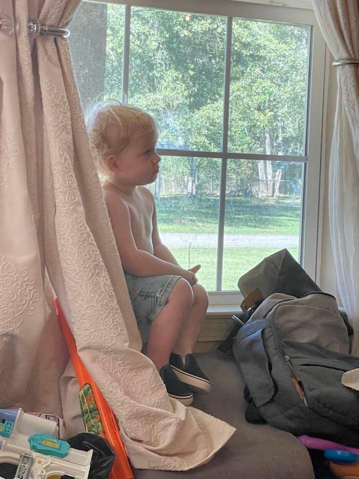 Anakin sitting in the window watching Bluey.