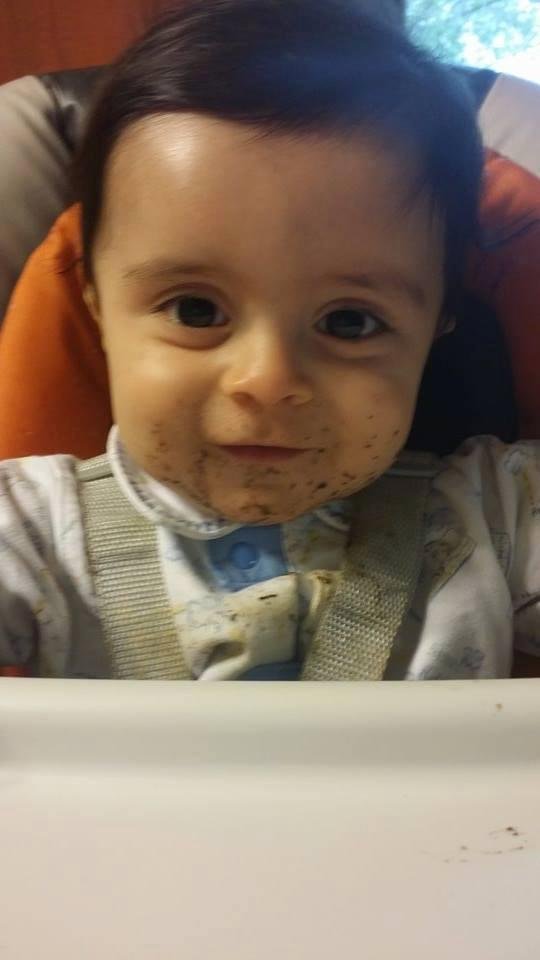 a chocolate cookies eating machine