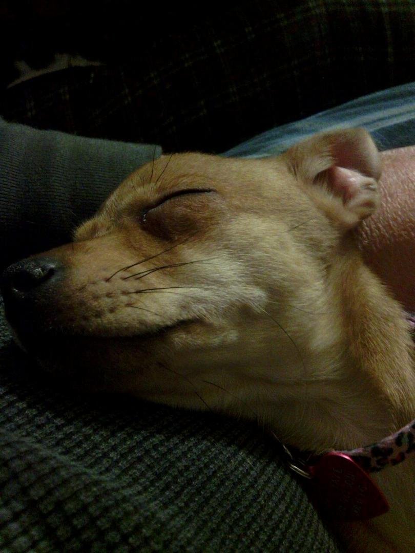 Tired