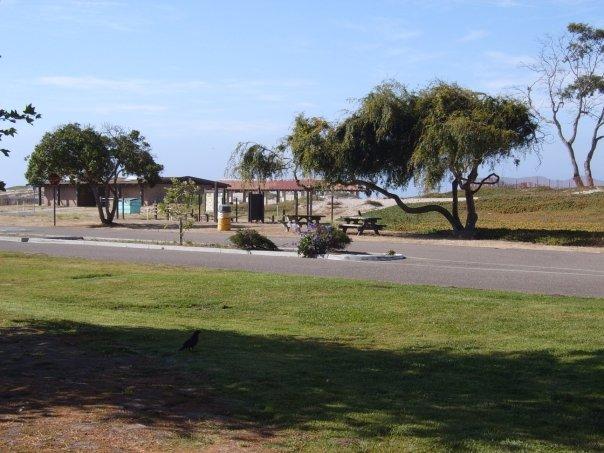 Picnic area