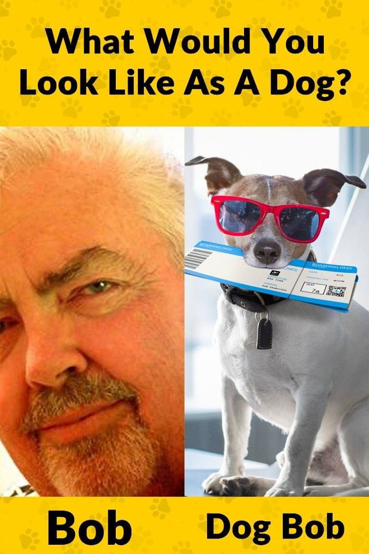 wrong dog . . . the rotwieler(?) must have been out on picture day