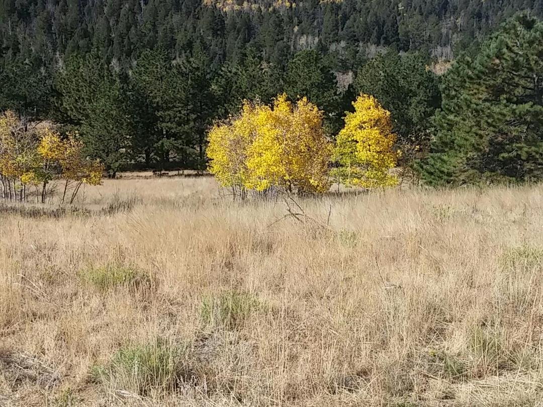 Another beautiful day in Colorado