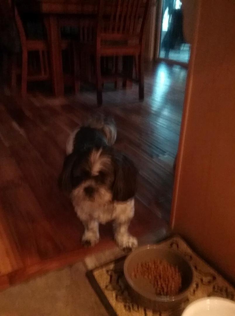 Happy 4th Birthday Pj!