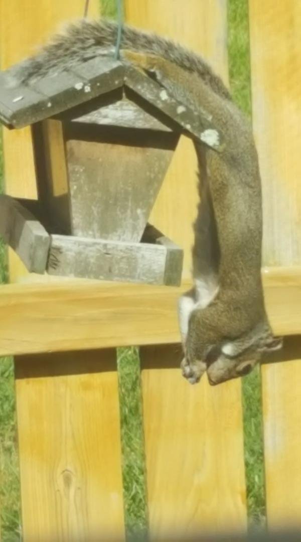 Just hanging out 😄