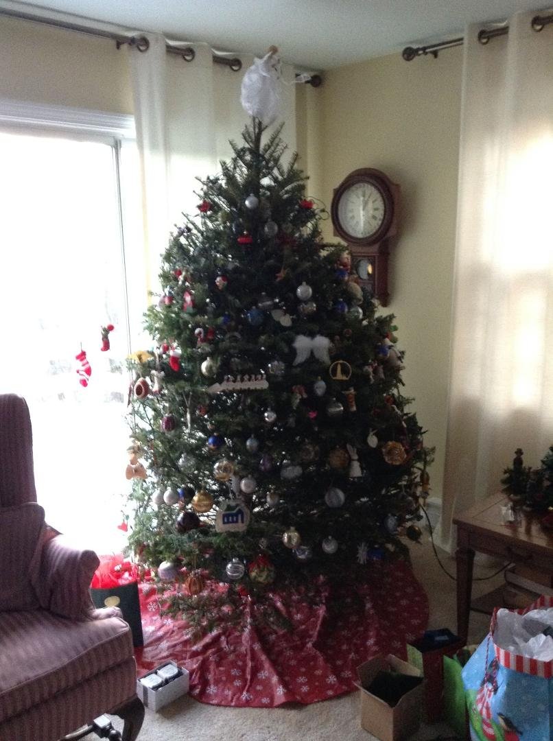 This week back up for Christmas.