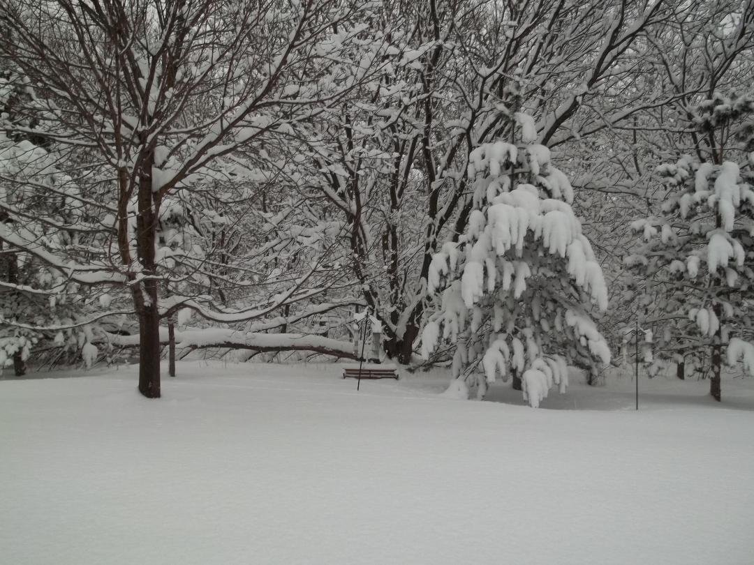 Outside our kitchen and parking lot - 2-9-13 temp 18 - they say Monday will have a high of 45 and rain......