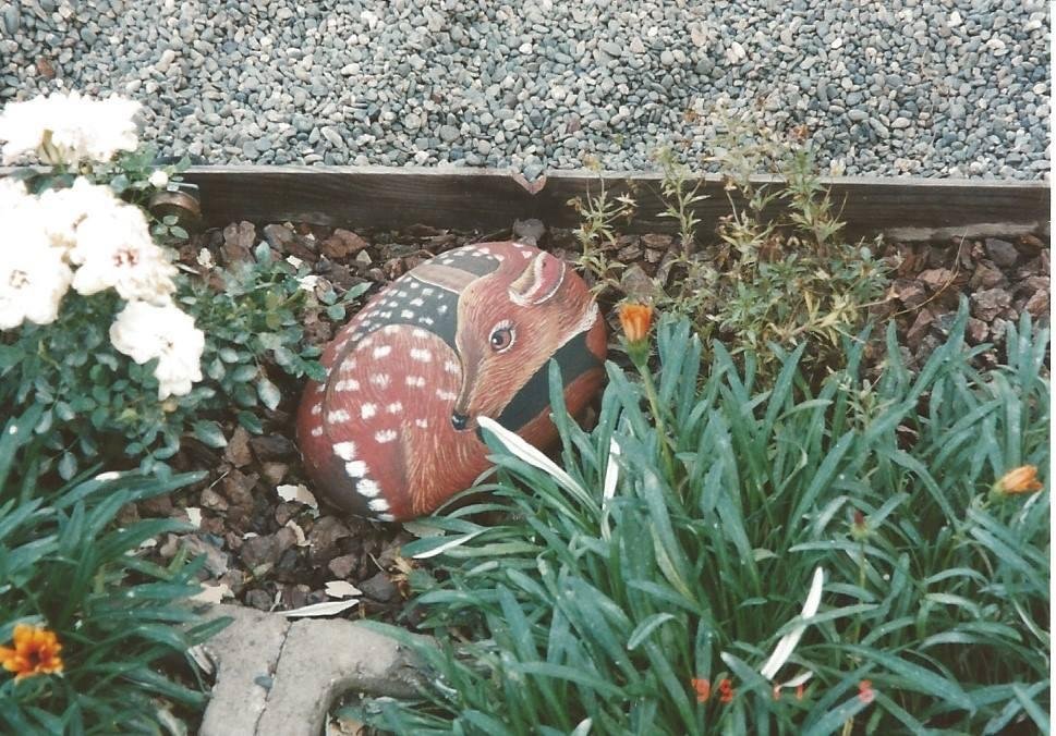 Another fawn.