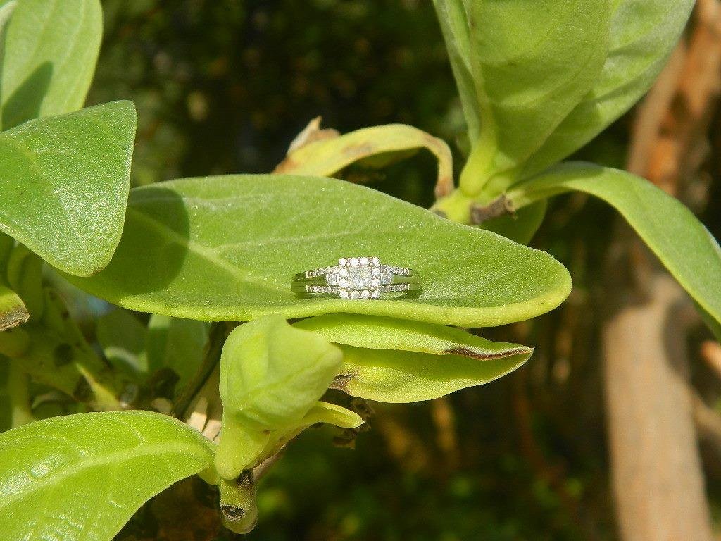 Then he surprised her with the ring he had stashed.