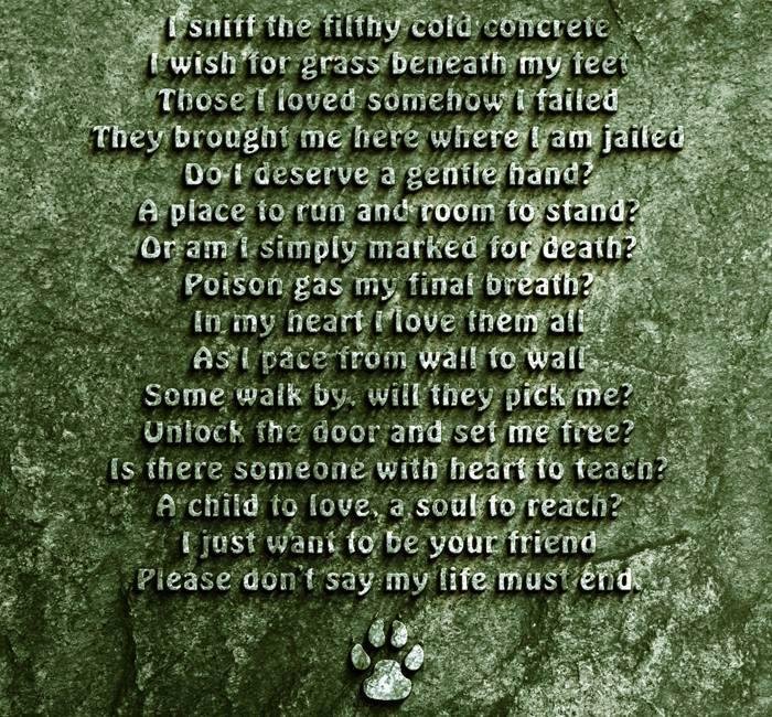 Jack Liston's album, Timeline Photos