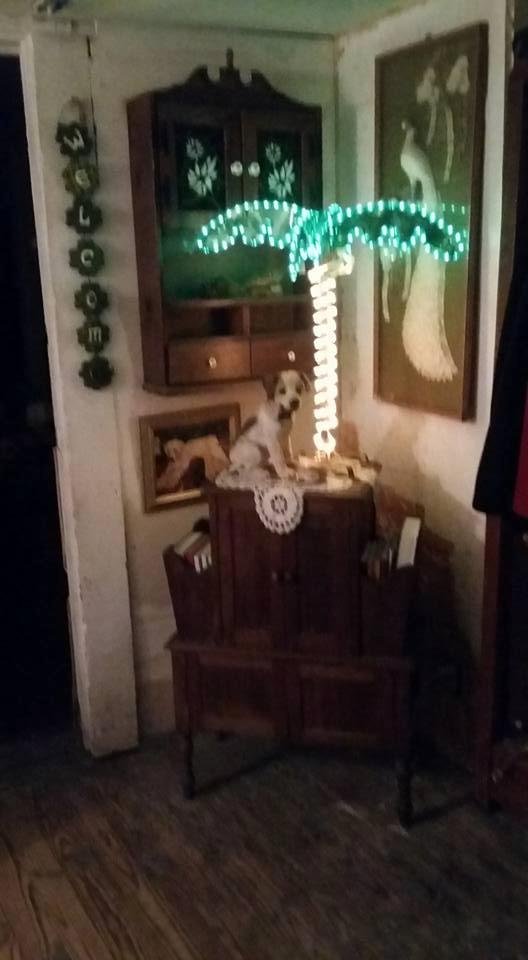 Gerry Doll's album, Mobile Uploads