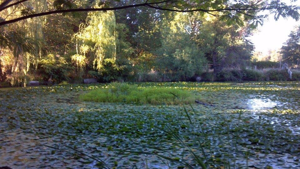 2013-06-28_06-59-24_428