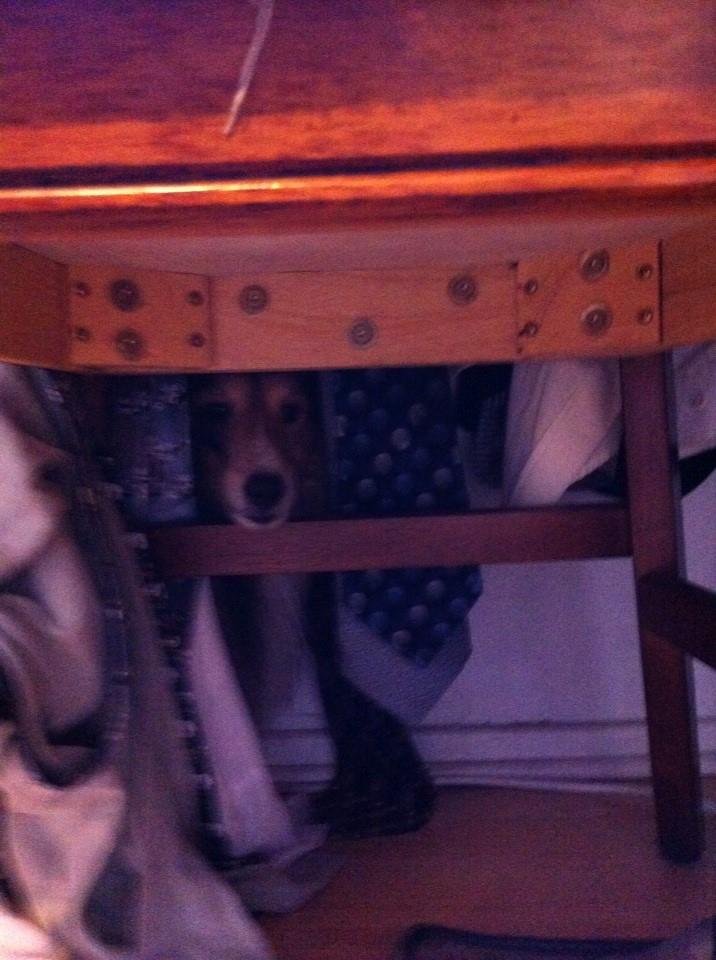 Make those fireworks go away
