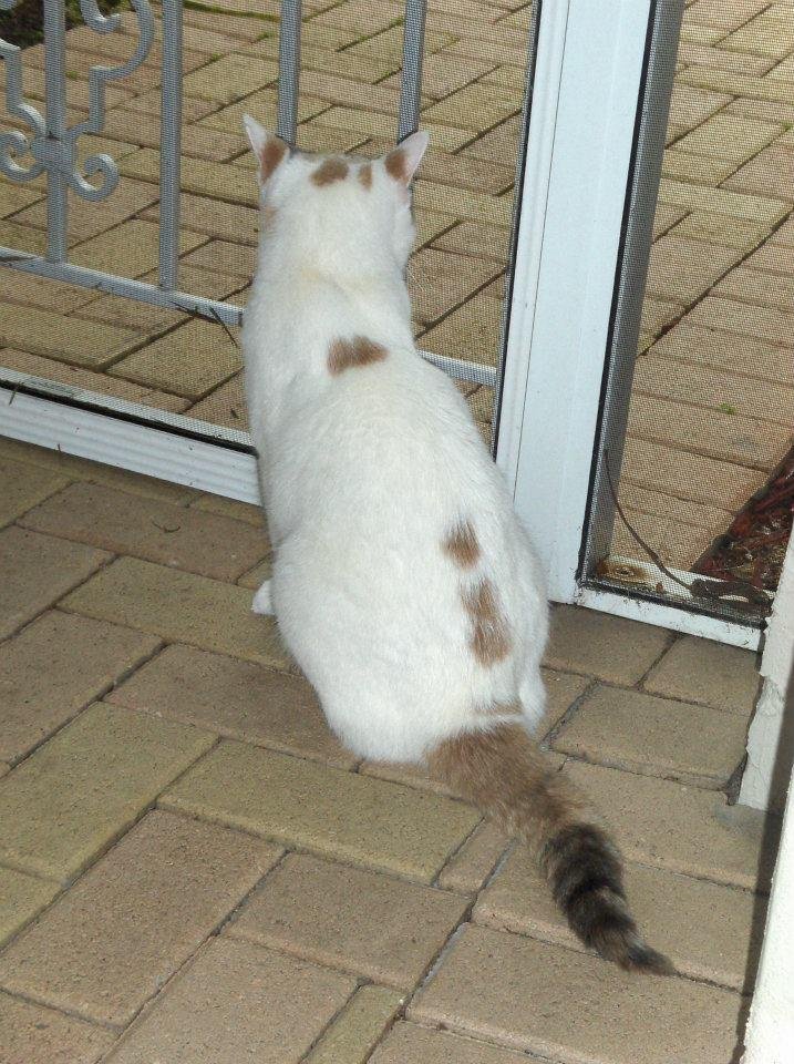 Kenneth Gustafson's album, 2641 Clipper circle