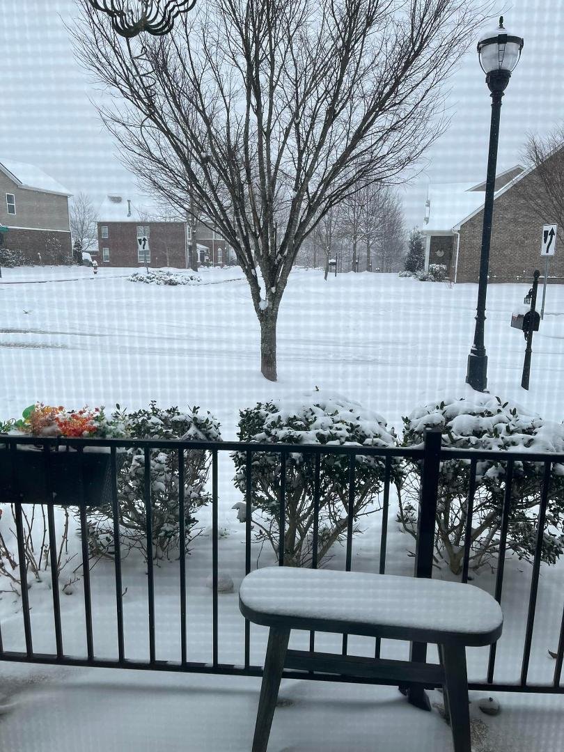 Here is the view from my home office this morning. A snowy 15 degrees here In Nashville.