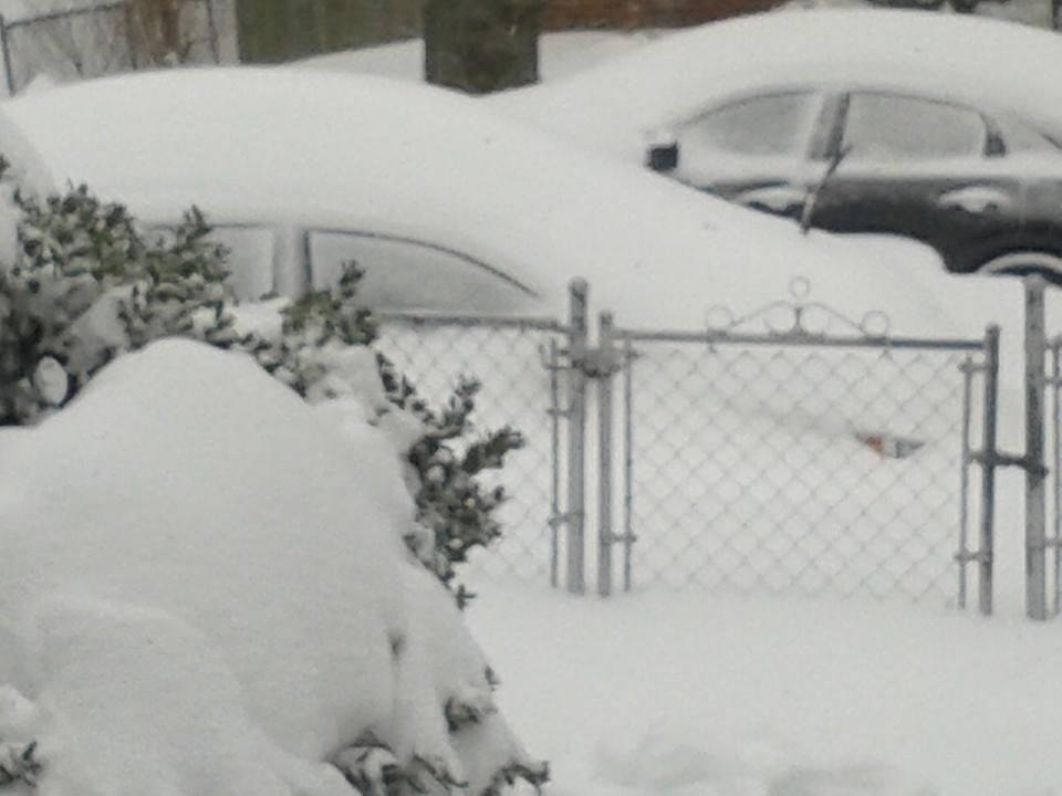 Too much snow out front my house, you can barely see my car! :-)