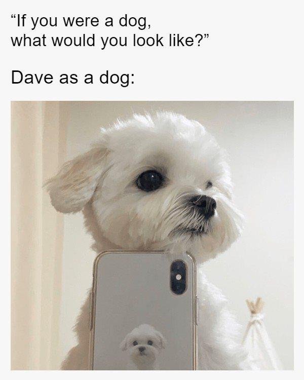 David Thacker's album, Timeline Photos