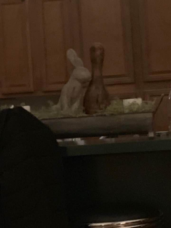 That’s not natural.....