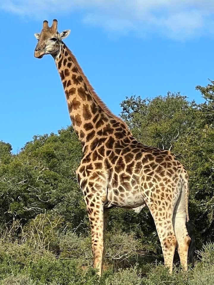 So much taller than I had ever expected!