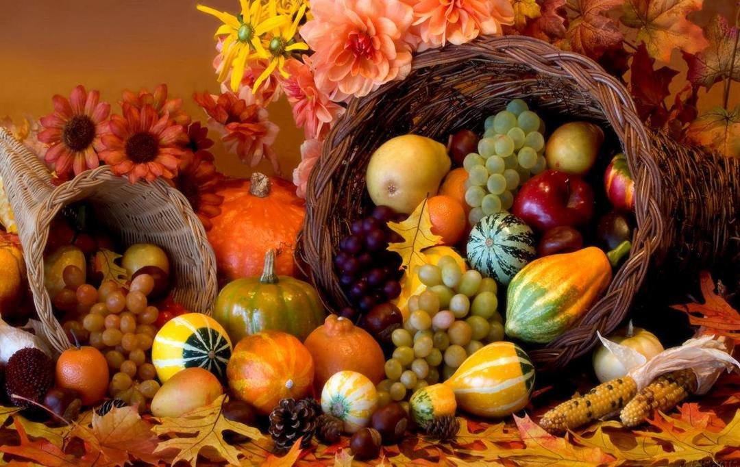 Wishing everyone a very happy Thanksgiving