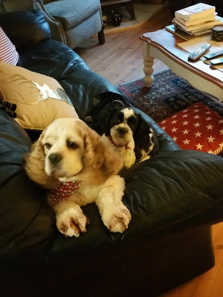 Our two boys enjoying there new haircuts and the holiday season.
