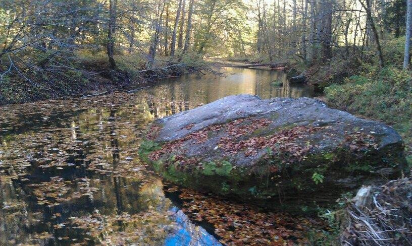 Red river gorge