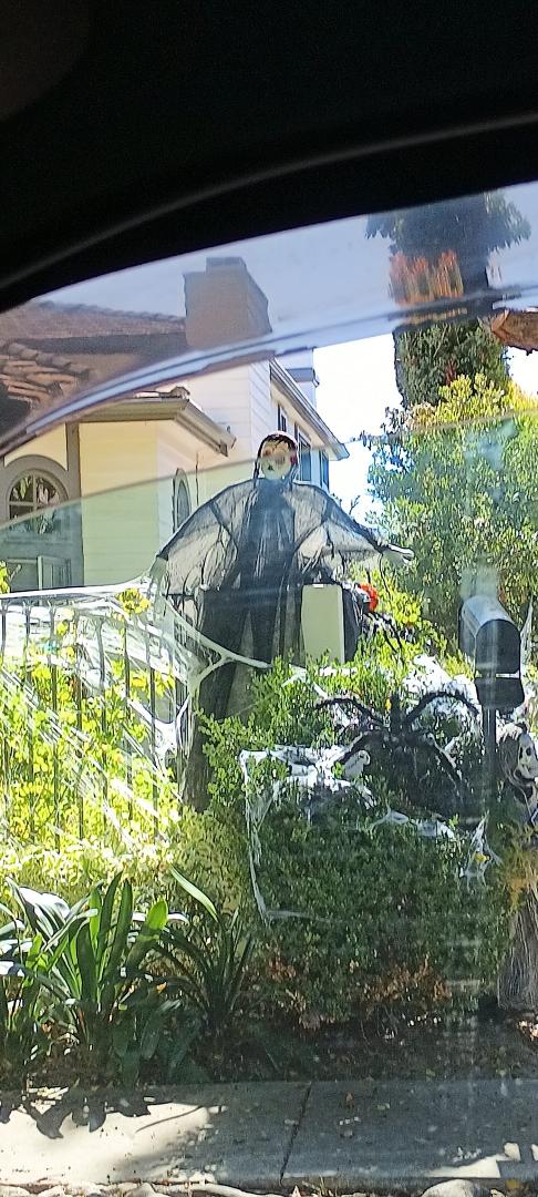 Renee Valdez's album, Timeline photos