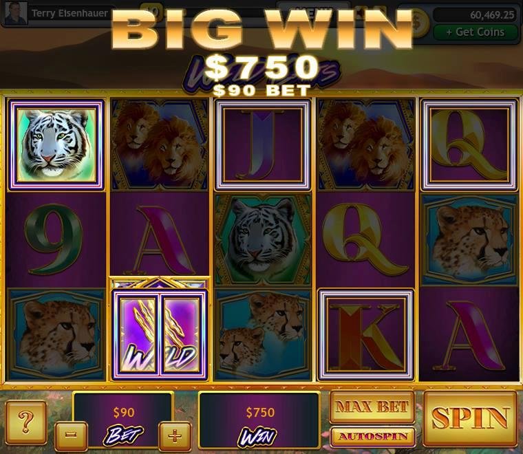 Terry Eisenhauer's album, Lucky Slots Photos