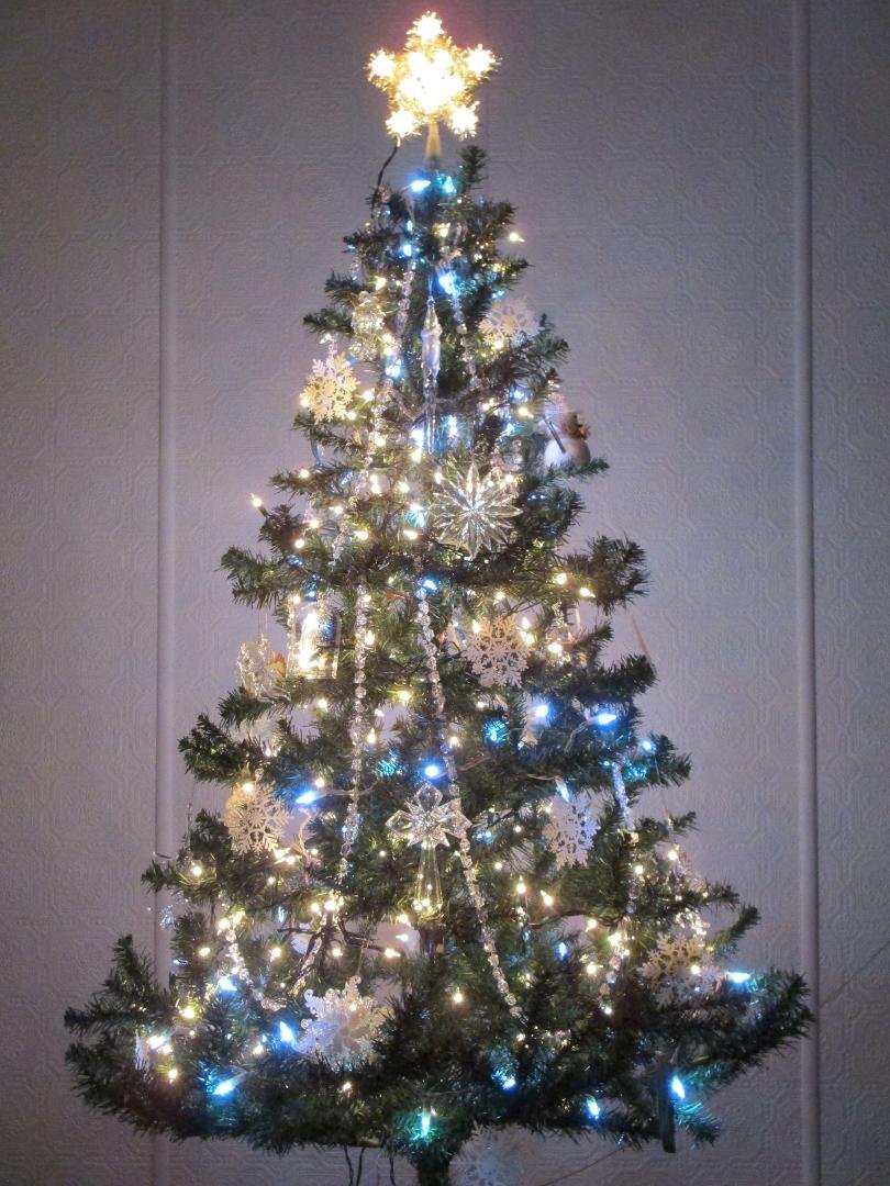 Finally got our tree up yesterday. Let the Christmas season officially begin.