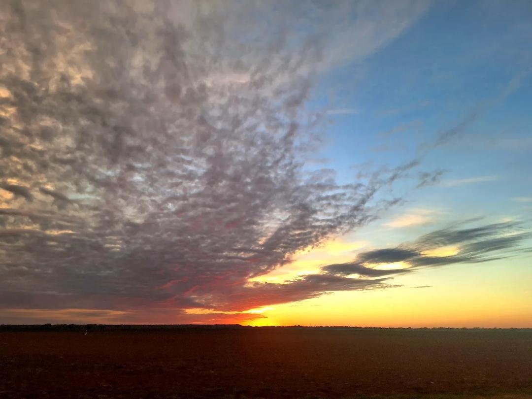 Manure compost in the air sunset.