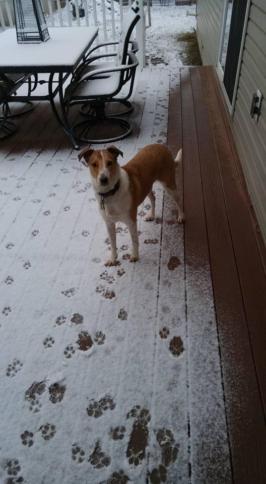 Cindy Brown's album, Mobile Uploads