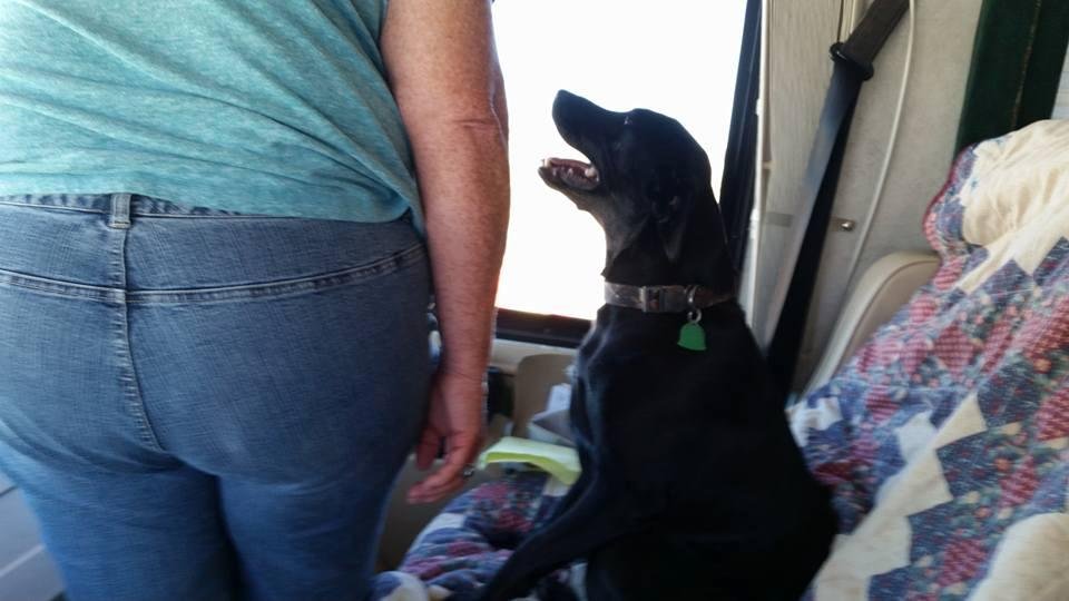 Vicki lost her place in the motorhome