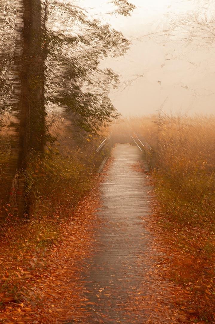 3 shot multiple exposure.