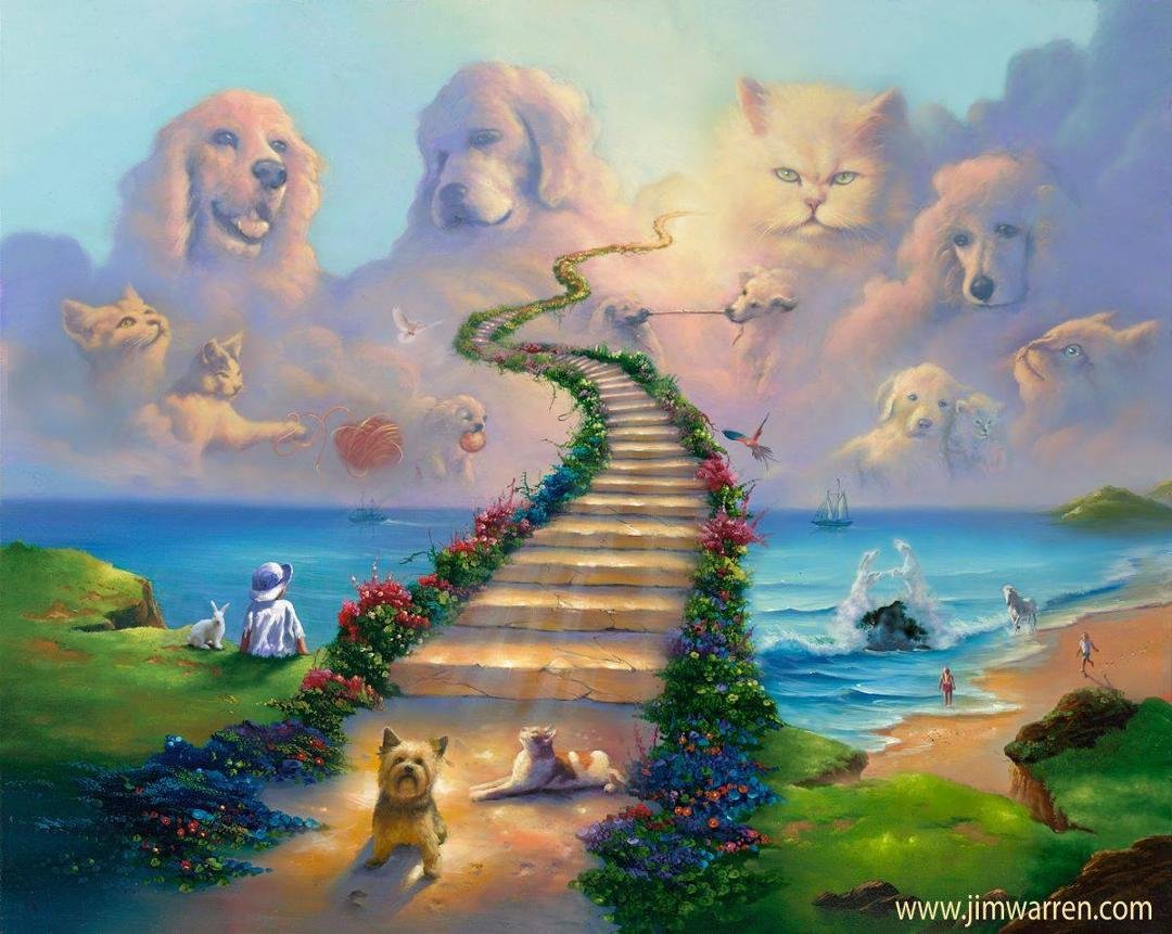 The Rainbow Bridge