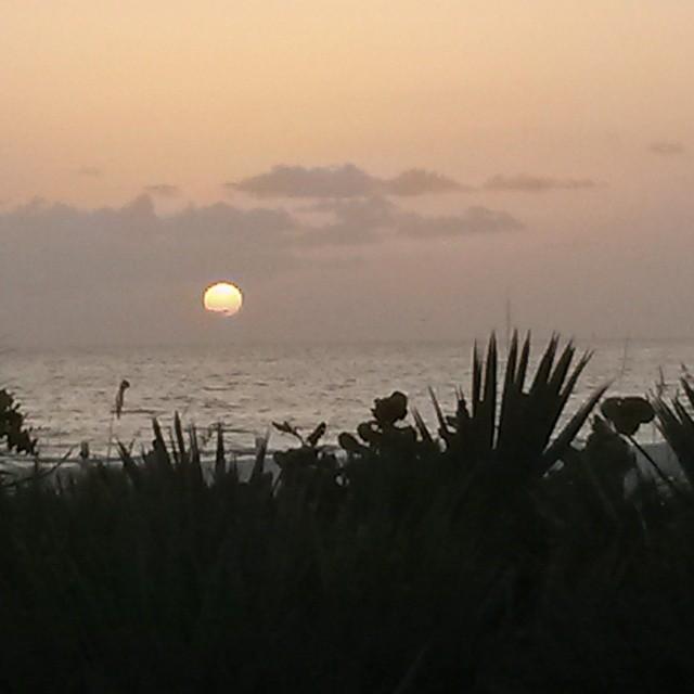 Paul Dunham's album, Timeline photos