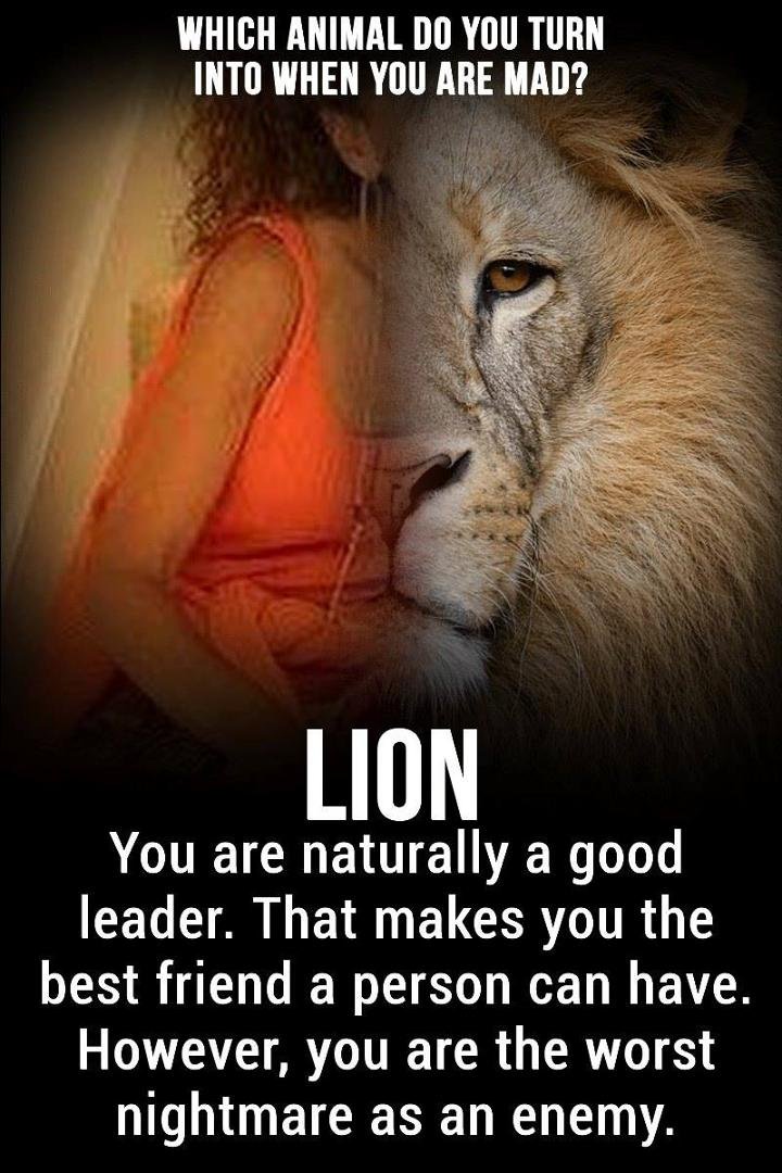 Penny Altman's album, Timeline Photos