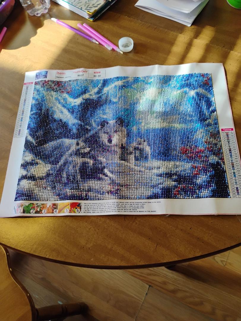 Finished diamond painting. Thanks Dylan and Anna.