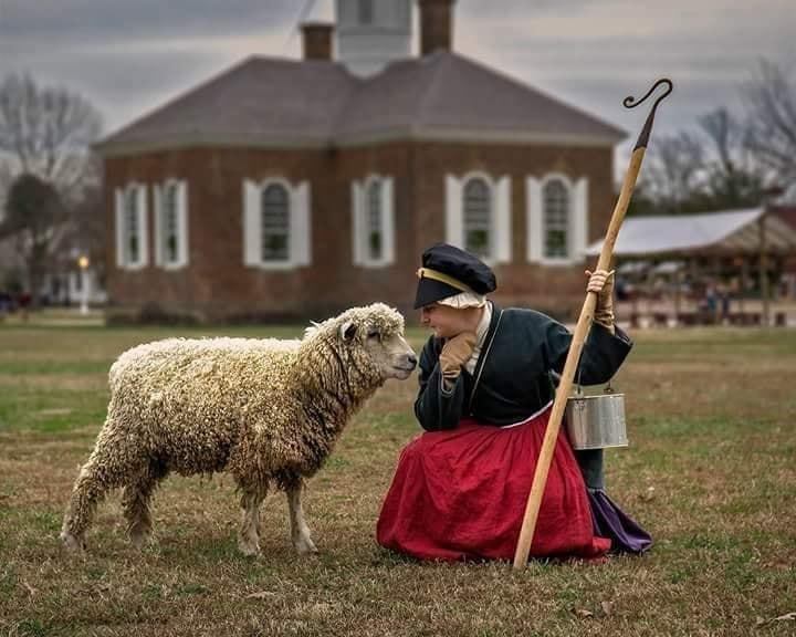 Tending to the flock...