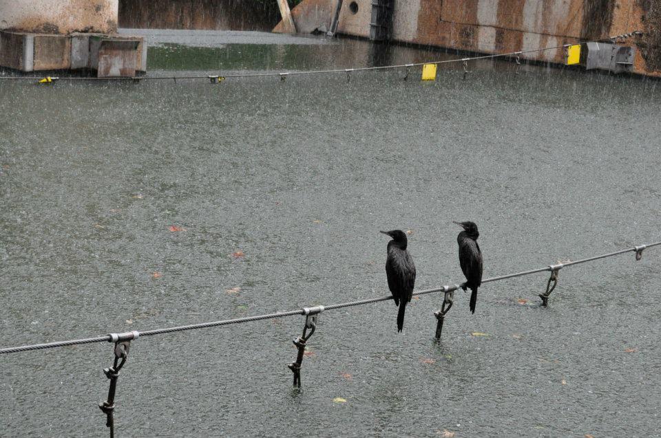 It rained all day here, too, and these tourists were just as displeased as we were.