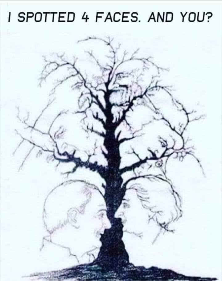 I found 10 faces!